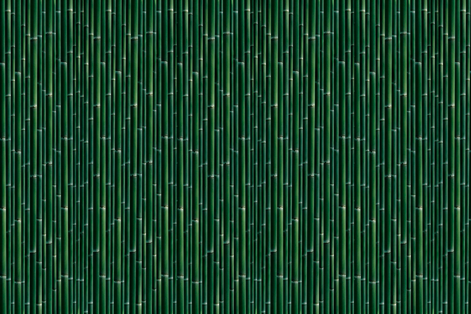 bamboo-patterned-curtain-textured-backdrop (2)